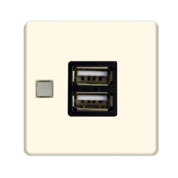 Розетка USB FEDE коллекции FEDE, скрытый монтаж, бежевый, FD-212USB-A