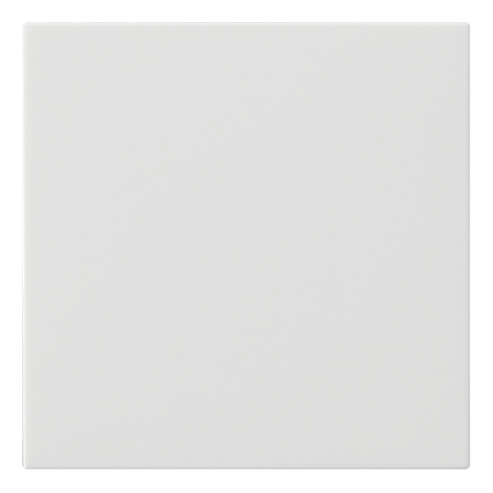 Накладка на жалюзийный выключатель Gira SYSTEM 55, белый глянцевый, 536003