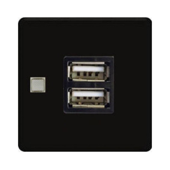Розетка USB FEDE коллекции FEDE, скрытый монтаж, черный, FD-212USB-M