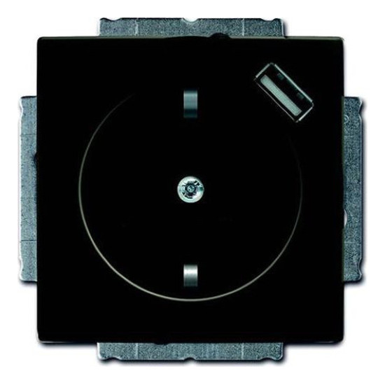 Розетка с USB ABB BASIC55, скрытый монтаж, с заземлением, со шторками, château-black, 2CKA002011A6195