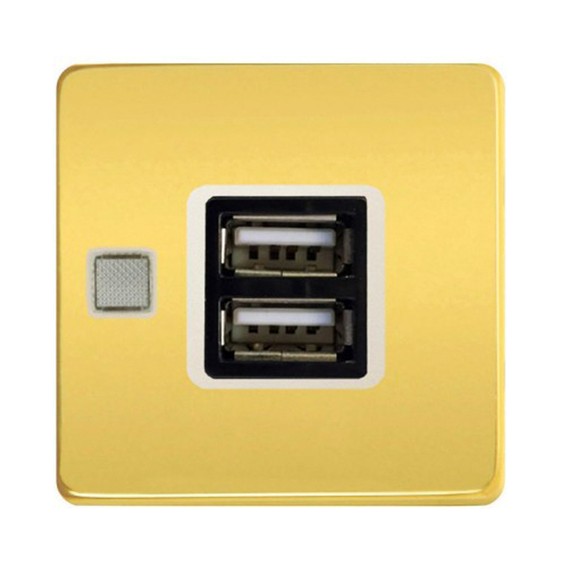 Розетка USB FEDE коллекции FEDE, скрытый монтаж, bright gold//бежевый, FD-212USBOB-A
