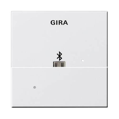 Накладка USB-микро-B для вставки док-станции Gira SYSTEM 55, скрытый монтаж, белый глянцевый, 228503