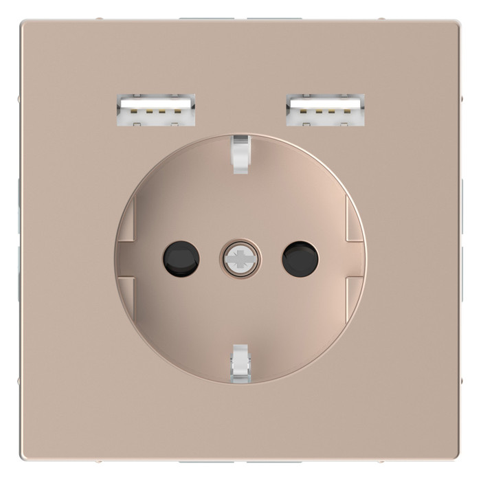 Розетка с 2xUSB Schneider Electric MERTEN D-LIFE, скрытый монтаж, с заземлением, шампань, MTN2366-6051