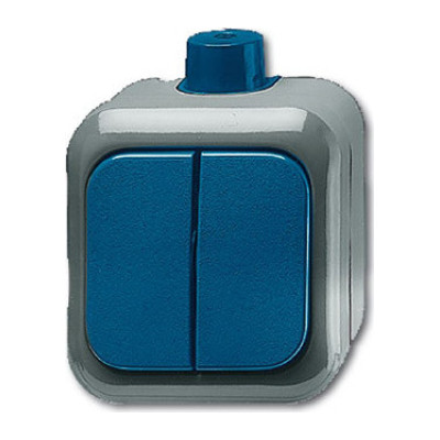 Выключатель двухклавишный ABB BUSCH-DURO, синий, 2CKA001084A0839