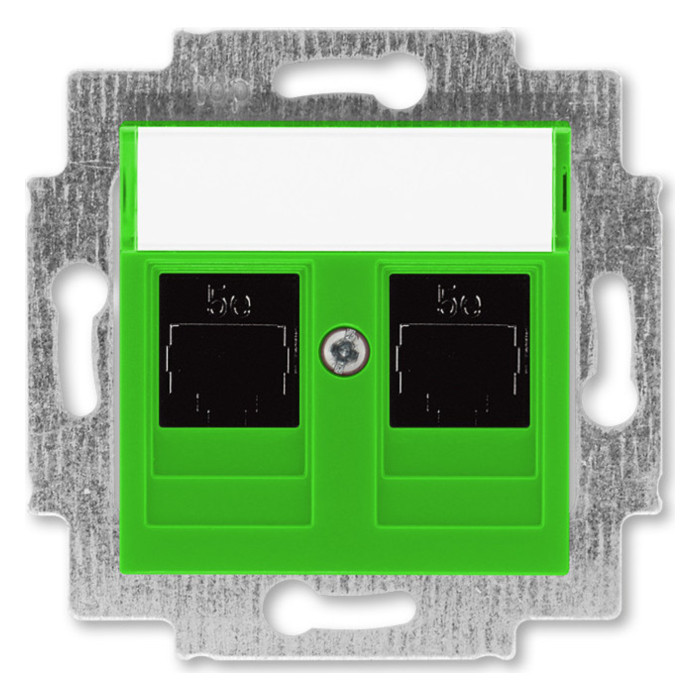 Розетка компьютерная 2xRJ45 ABB LEVIT, , зеленый, 2CHH295118A6067