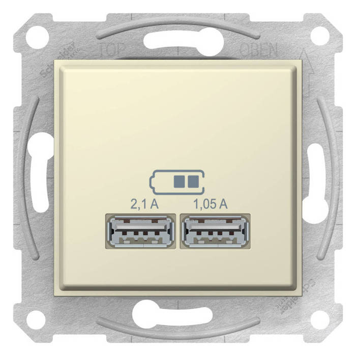 Розетка 2xUSB Schneider Electric SEDNA, скрытый монтаж, бежевый, SDN2710247